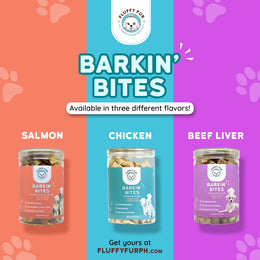 Barkin' Bites Bundle: Freeze-Dried Variety Pack