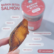 Barkin' Bites: Freeze-Dried Salmon Meat