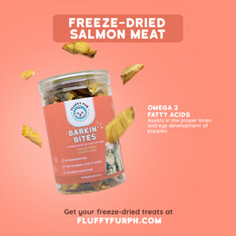 Barkin' Bites: Freeze-Dried Salmon Meat
