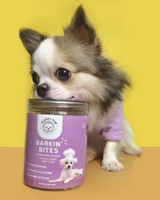 Barkin' Bites: Freeze-Dried Beef Liver